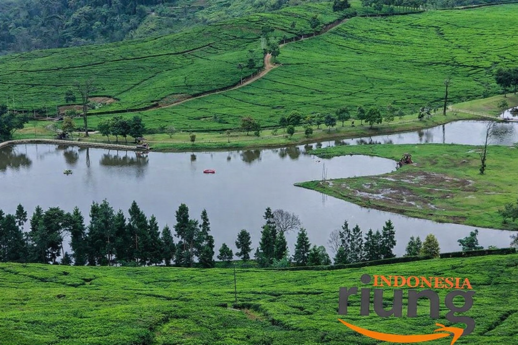 Gambaran jalur trekking telaga saat puncak
