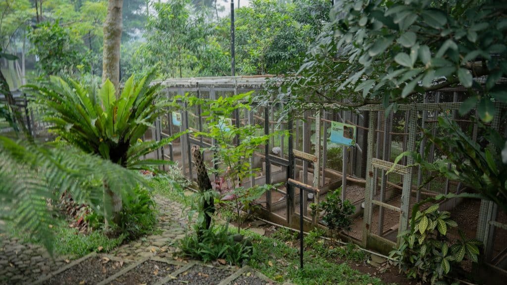 Fasilitas aviary unik di Leuweung Geledegan Ecolodge Bogor.