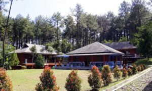 Sentul Eco Tourism Forest Bogor