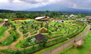 Camp Hulu Cai Bogor