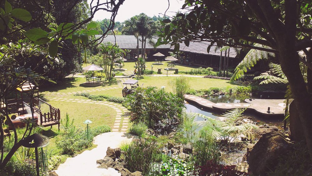 Area Outdoor Green Forest Bogor