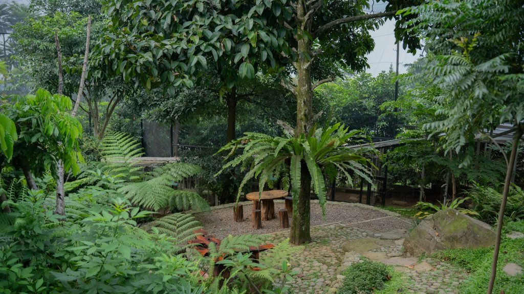 Area Outdoor leuweung geledegan ecolodge