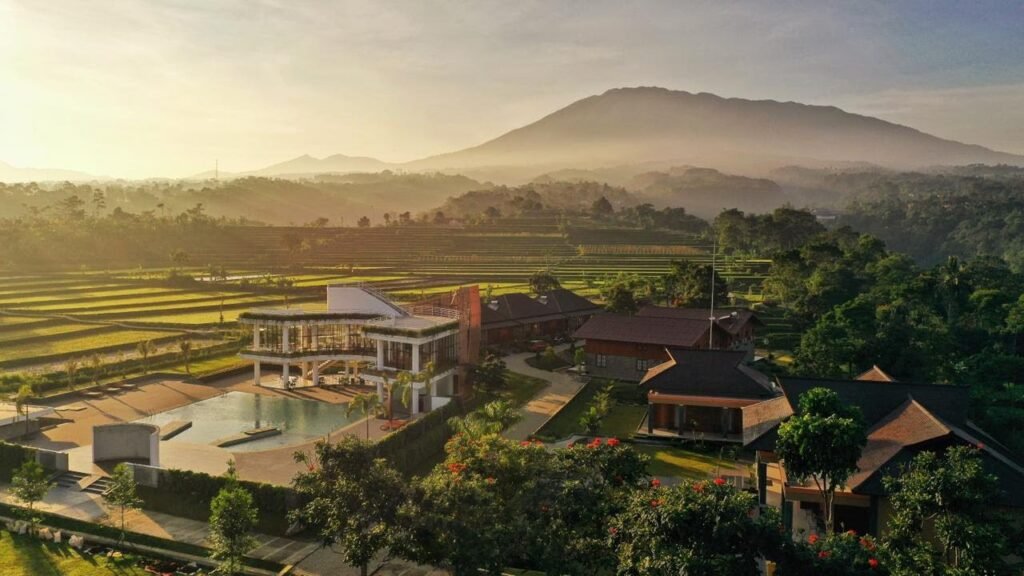 Padi resort Pancawati Bogor
