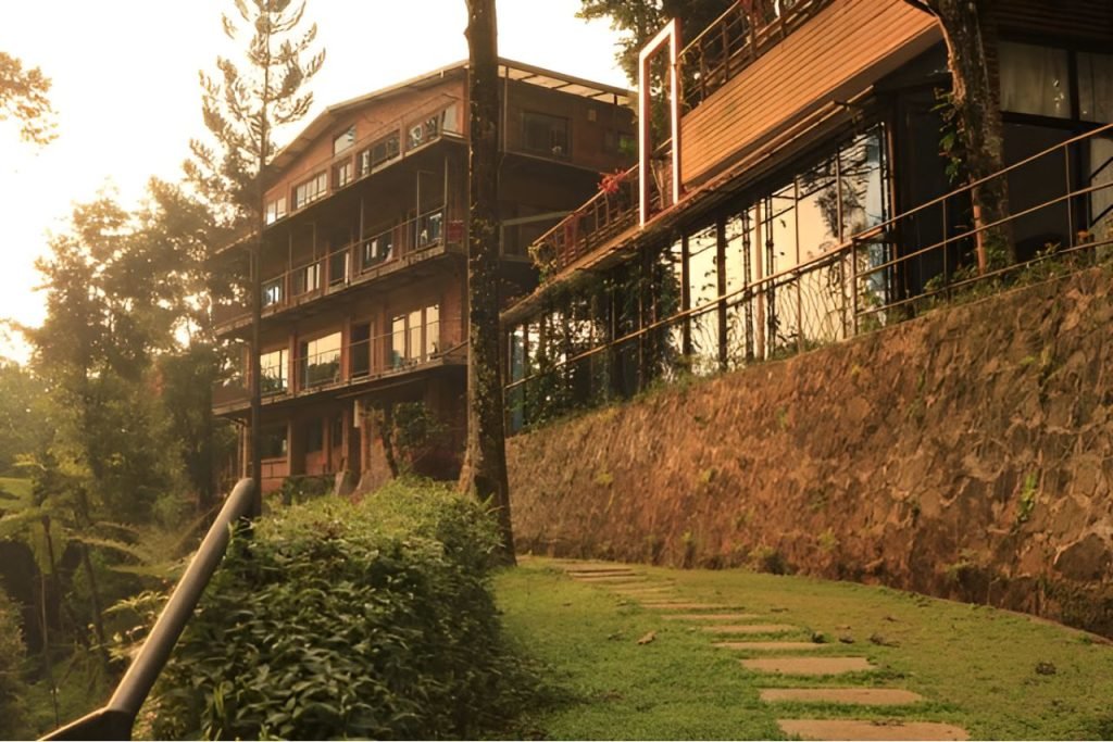 Review Lengkap The Pinewood Cisarua