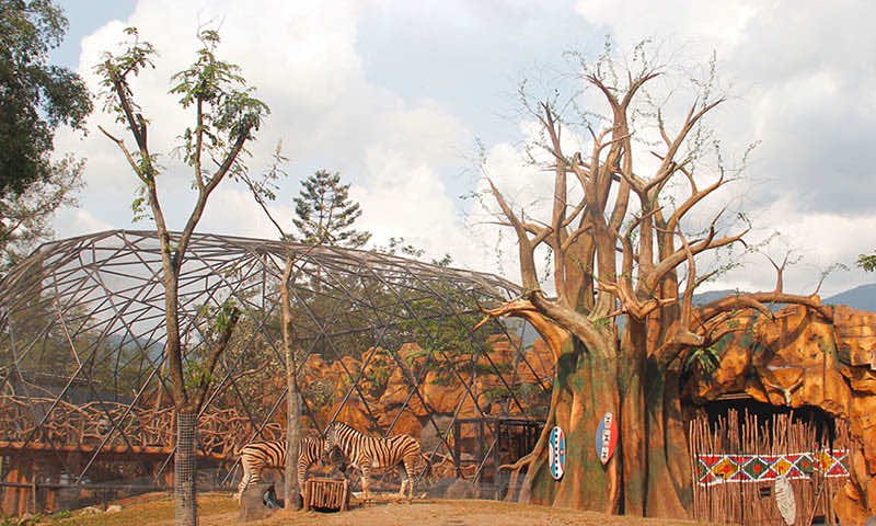 Konsep Thematic Royal Safari Garden